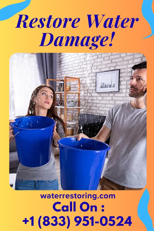 water restoration Stellar Restoration Solutions Experts Lindrith